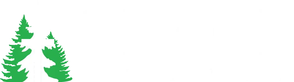 graceinrochester.forwarddesigner.net
